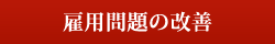 雇用問題の改善 雇用問題の改善