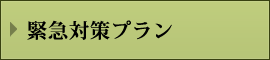 緊急対策プラン 緊急対策プラン